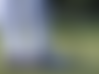 PRESIDENTI DANLLD TRAMP (DONALD TRUMP): G20-ta DO TË MBAHET NË RESORTIN TIM; NË KLUBIN E GOLFIT DORAL NË FLORIDË.