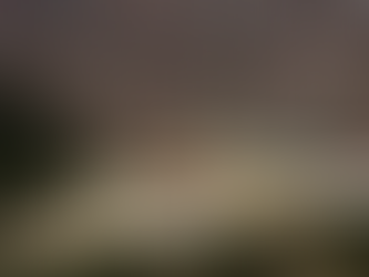 PRIZREN | MEHMET KRASNIQI (ME MOSHË 71 VJEÇ) U GJET I VDEKUR TE KALAJA; PO HETOHET PËR VRASJE; VETËVRASJE; VDEKJE NGA PAKUJDESIA; VDEKJE NGA SHKAQE NATYRALE.