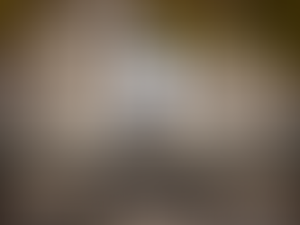 PROKURORJA PUBLIKE E PARISIT LOR BEKU (LAURE BECCUAU): XHEVAHIRET E LUVRIT NUK JANË GJETUR ENDE.