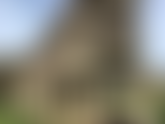 HORRERO (HAMBAR TIPIK PËR RUAJTJEN E DRITHËRAVE), I SHEKULLIT TË 13-të.