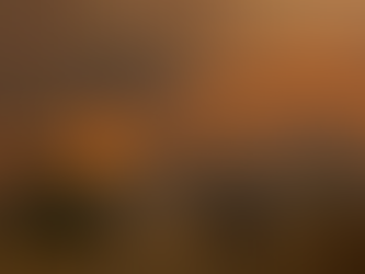 KILI | 15 TË VDEKUR + 19 TË PLAGOSUR NGA ZJARRET; 50 MIJË NUMRI I TË EVAKKUUARVE.