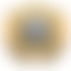 FUSHË KOSOVË; PRISHTINË | ILIR BERISHA U ARRESTUA; NJË VEPËR PENALE.