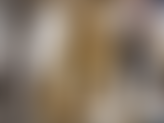 FIRENCE: STATUJA ROMAKE E HERKULIT U ZBULUA NË MONTAIONE | ËSHTË PA KOKË DHE MUND TË RIMONTOHET NGA 3 FRAGMENTE QË PËRPUTHEN.