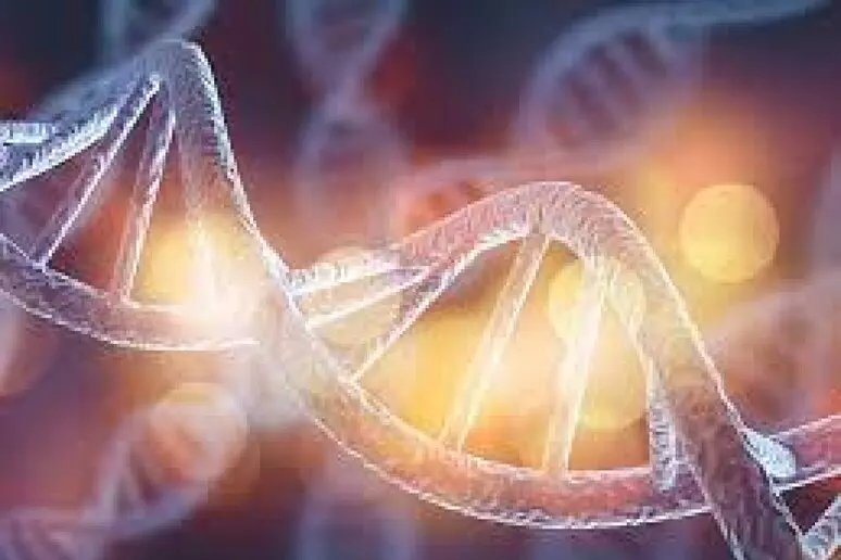 NJË STUDIM ITALIAN HEDH DRITË TË RE MBI KUPTIMIN E AUTIZMIT | RASTE TË ÇRREGULLIMEVE TË SPEKTRIT TË AUTIZMIT MUND TË LINDIN NGA SISTEMI IMUNITAR I NËNËS QË NDËRHYN NË ZHVILLIMIN E TRURIT TË FETUSIT.