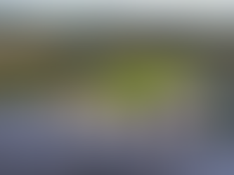 ITALI: ALARM NË AEROPORTE PËR SHKAK TË SËMUNDJES MISTERIOZE QË KA SHKATUAR 80 TË VDEKUR.