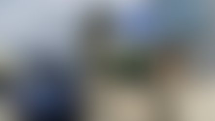 FSHATI KASALLË; KAMËZ | ODISON ZGURI U ARRESTUA; KOBURE NË MAKINË.