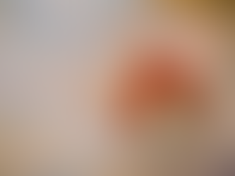 “PUTHJA” | PIKTURË E FAMSHME PREHISTORIKE NË SHKËMBINJ E VENDOSUR NË SITIN ARKEOLOGJIK PEDRA FURADA BRENDA PARKUT KOMBËTAR SERRA DA KAPIVARA (CAPIVARA) NË BRAZIL.