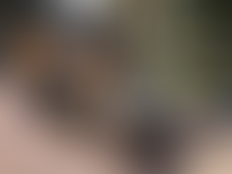 MEKSIKO SITI: STATUJAT E FIDEL KASTROS DHE TË ÇE GUEVARËS U HOQËN NGA PARKU KU ISHIN VENDOSUR NË VITIN 2017 | DO HIDHEN NË KOSH TË MBETURINAVE; KOMUNISTË TË FËLLIQUR.