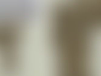 FRAGMENTI I PAPIRUSIT 1600-VJEÇAR PËRMBAN TREGIMET MË TË HERSHME TË FËMIJËRISË SË JEZUSIT | KUNDËRSHTOHEN NGA KLERIKËT.