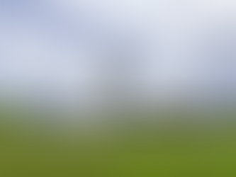 BRAZILI MIRATOI LIGJIN KUNDËR ADULTIZIMIT TË TË MITURVE NË INTERNET | PAS MIRATIMIT TË DHOMËS DHE SENATIT PRITET VETËM NËNSHKRIMI I PRESIDENTIT LUIZ INACIO LULA DA SILVA.