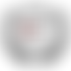 FSHATI BABUSH I MUHAXHERËVE; LIPJAN | TAULANT METUSHI MBETI I PLAGOSUR NË VENDIN E PUNËS; PËR INTERVISTIM POLICOR RAMIZ GASHI; AGON GASHI; BESJAN MURTEZI.