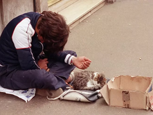 ITALI: NË VITIN 2024 POPULLSIA NË RREZIK TË VARFËRISË U RRIT NË 23.1% | NË VITIN 2023 ISHTE 22.8%.