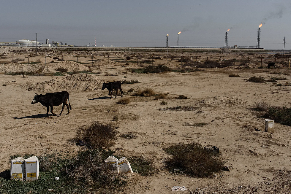 IRAK | MINISTRIA E NAFTËS: TË BLLOKOHET PRODHIMI I NAFTËS NGA KONCESIONET E HUAJA.