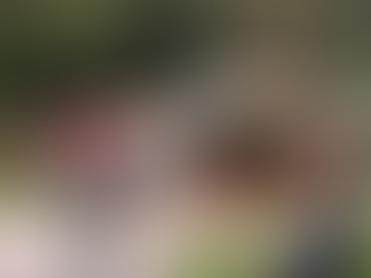 MBRETI KARL (CHARLES) III PRITI PRESIDENTIN E SHBA-ës DANLLD TRAMP (DONALD TRUMP) NË KËSHTJELLËN UINDSOR (WINDSOR) ME ROJEN E NDERIT MË TË MADHE NË HISTORINË MODERNE TË MBRETËRISË SË BASHKUAR.