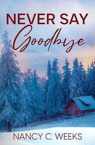 Never Say Goodbye, a Romance Suspense Hollday Novella  by Award Winning Author, Nancy C. Weeks