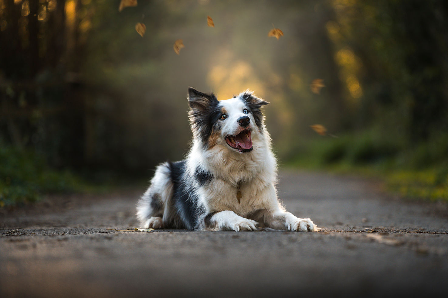 Ozzy and Hollie-23.jpg