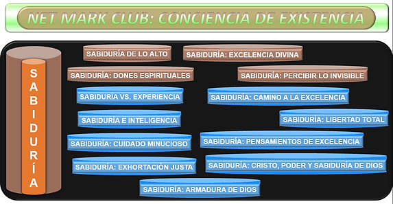 NMC-CDE (SABIDURÍA).png