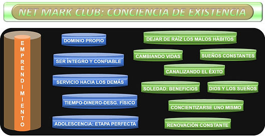 NMC-CDE (EMPRENDIMIENTO).png