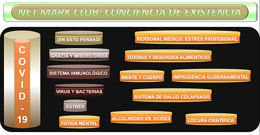 NMC-CDE (COVID-19).png