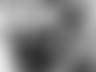 Racismo e xenofobia: os perigos do crescimento da extrema-direita em Portugal