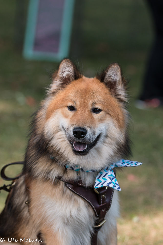 North River's Quantum Leap