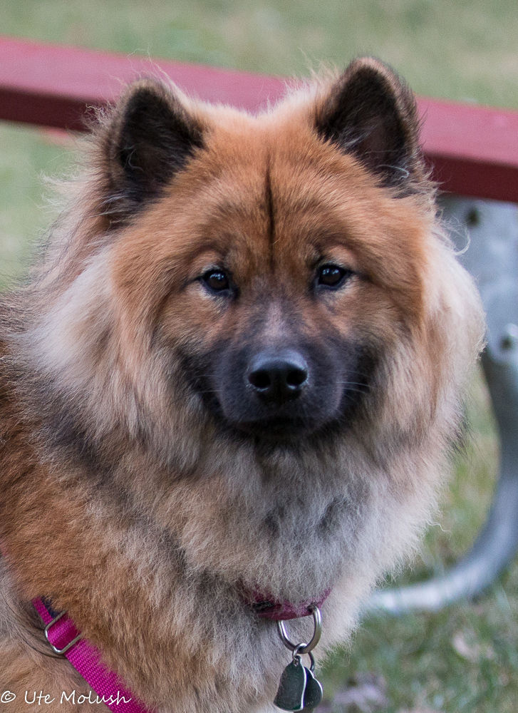 Heartland's Alice Jean