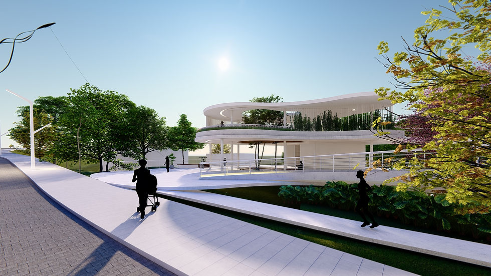 Perspectiva externa