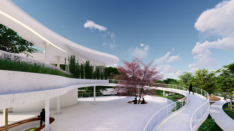Perspectiva externa
