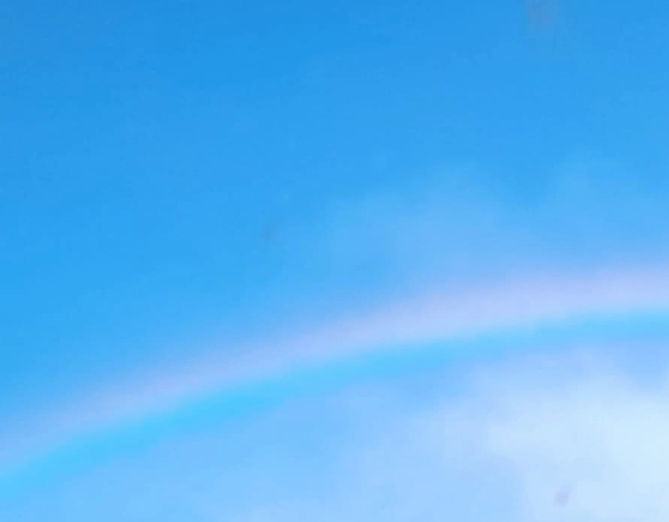 515018041_10161695257683315_425436870921776994_n_edited_edited_edited.jpg