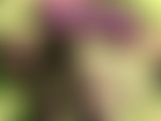 From Undershirts to Icons: The Wylde History of the T-Shirt