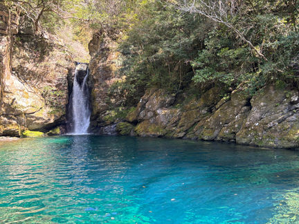 良き出会いの春に(2026年3月の活動)