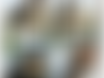 A Beleza de um Estado Emocional Habilidoso