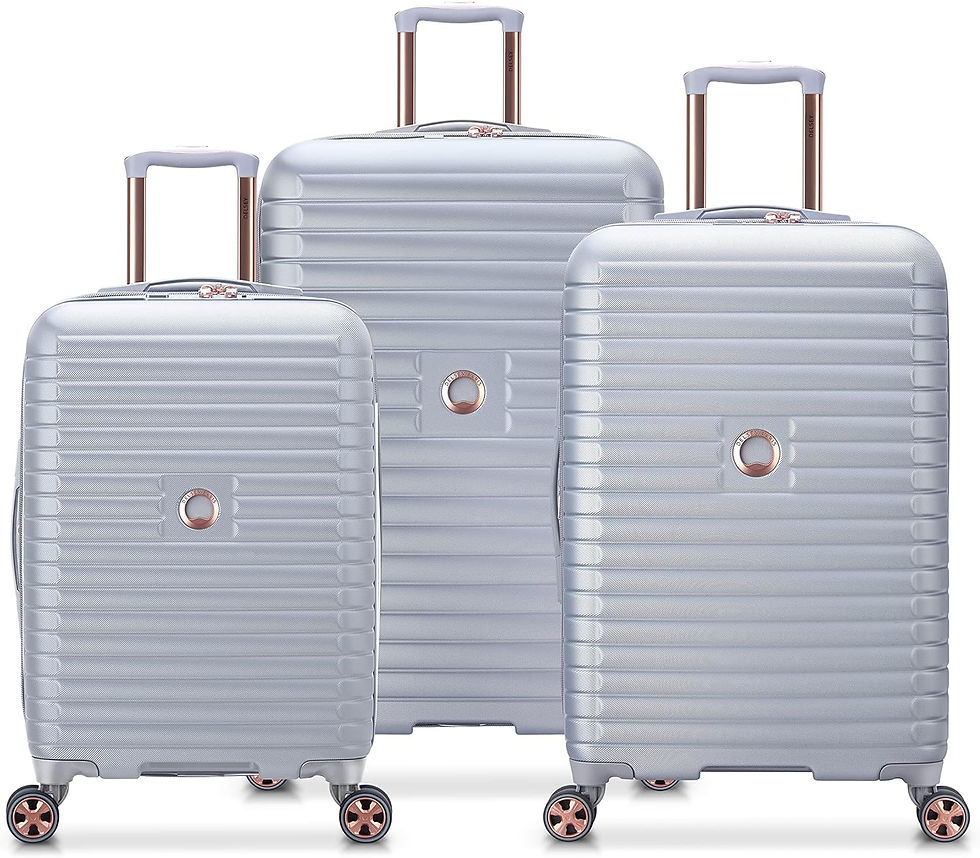 Miniature : Set de trois valises Delsey Paris