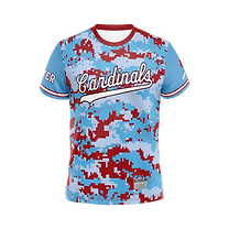Cardinals (2).png