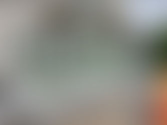 Augmenter la valeur de votre propriété grâce aux rampes et clôtures en verre