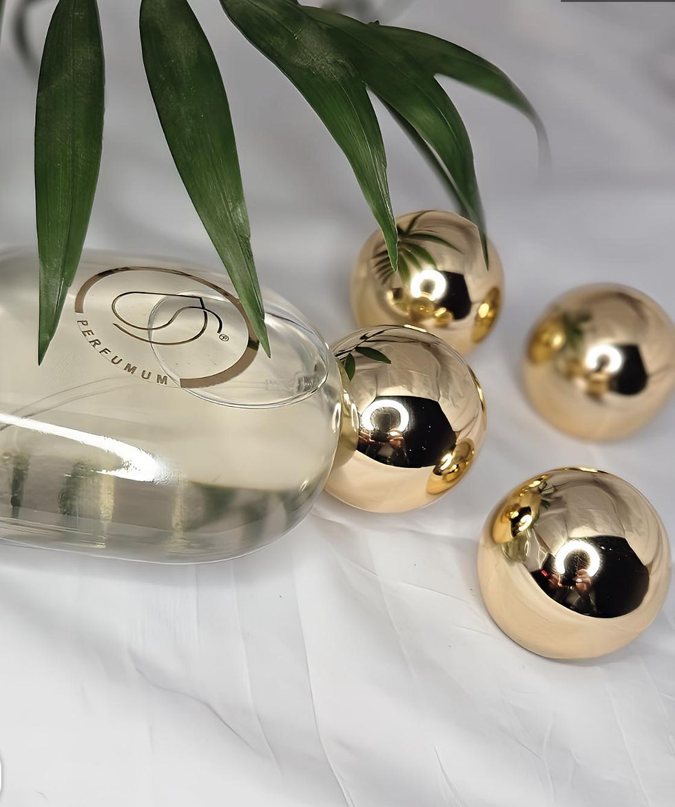 Küçük resim: ds parfumum niş kokular serisi