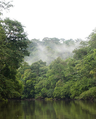 kourou