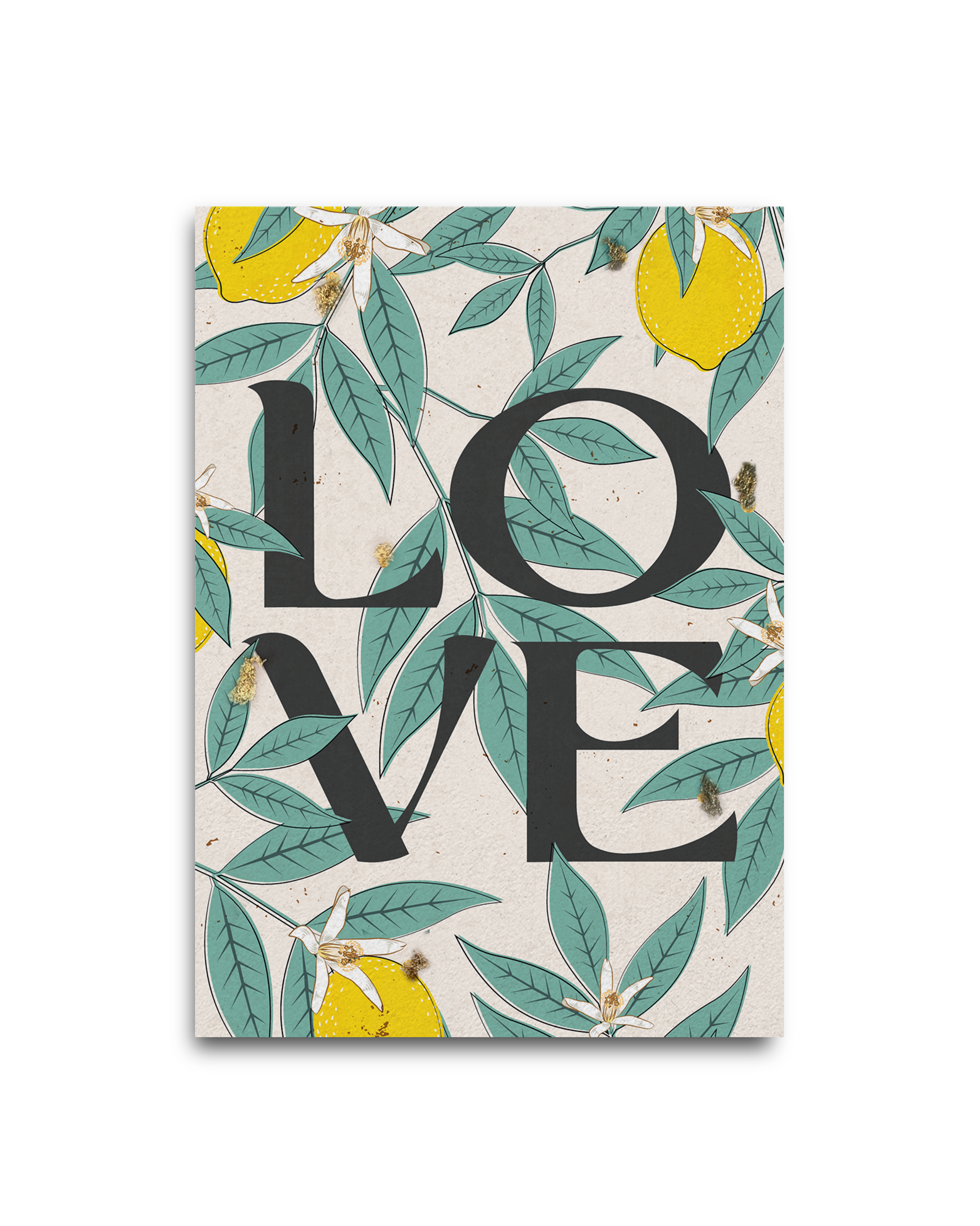 L O V E Melocard