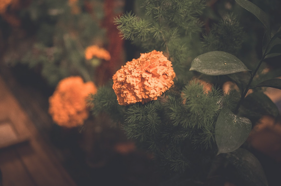 Seasonal flowers arranged throughout the Halloween dinner table, adding warmth and autumn-inspired colors.