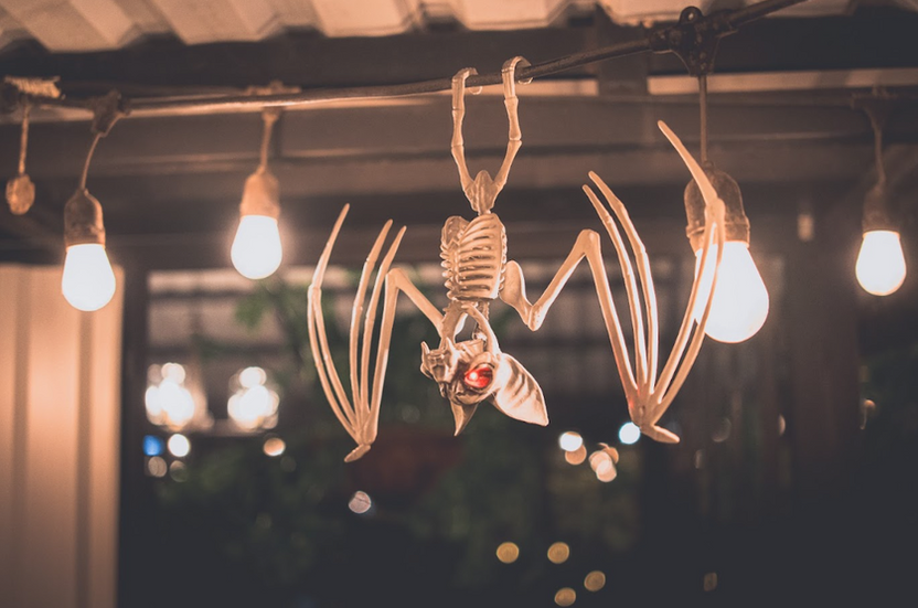 Hanging bats decorating the Botanical Rooftop glasshouse for the Halloween dinner experience.