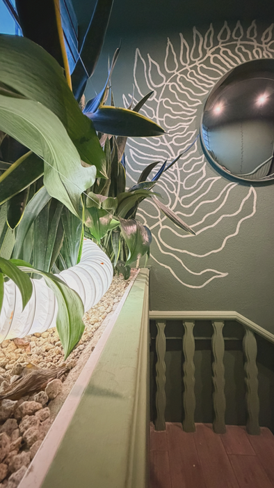 Stairway entrance with indoor plants at The Greenhouse Residence