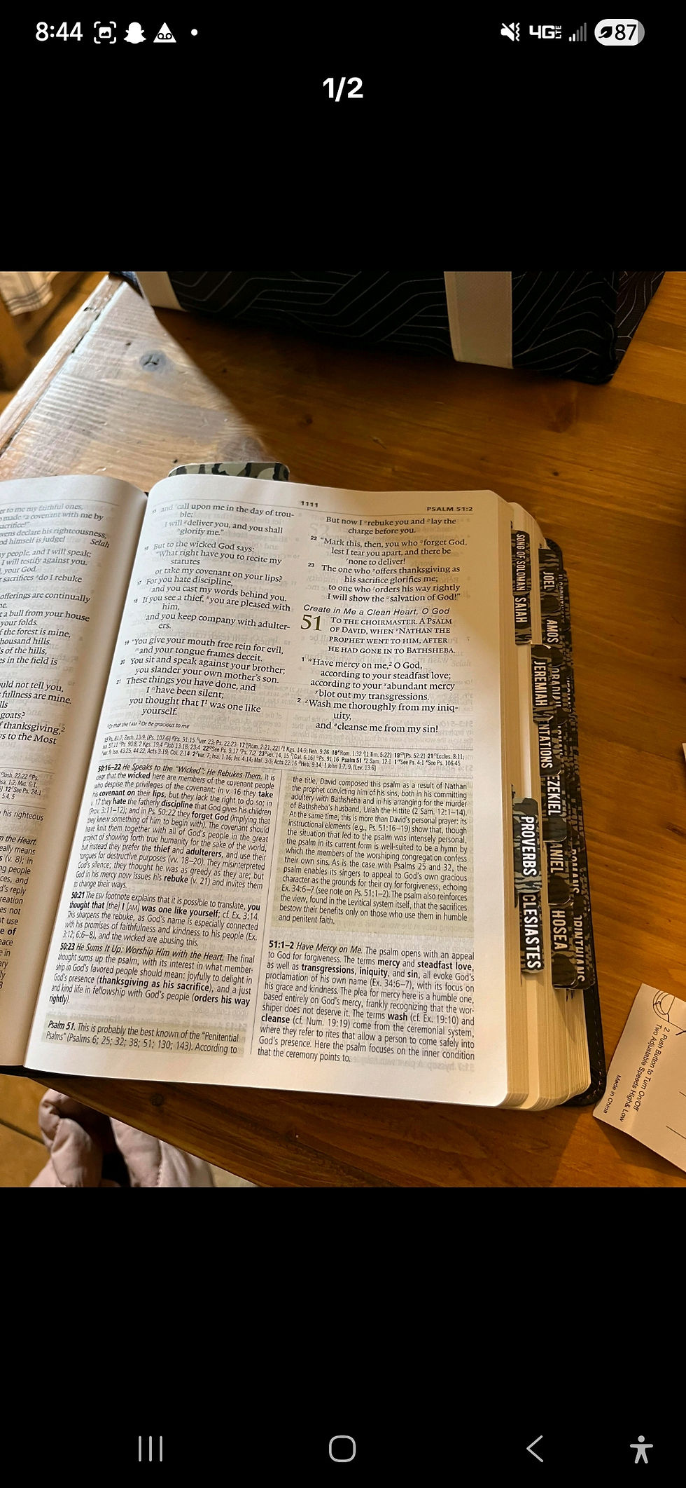 Thumbnail: Bottomland Camo Bible Tabs