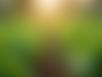 Essential Tips and Common Pitfalls to Avoid When Growing Your Garden