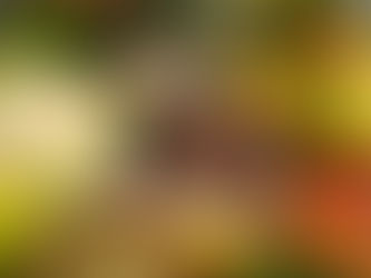 Será que você está suplementando ferro de forma errada?