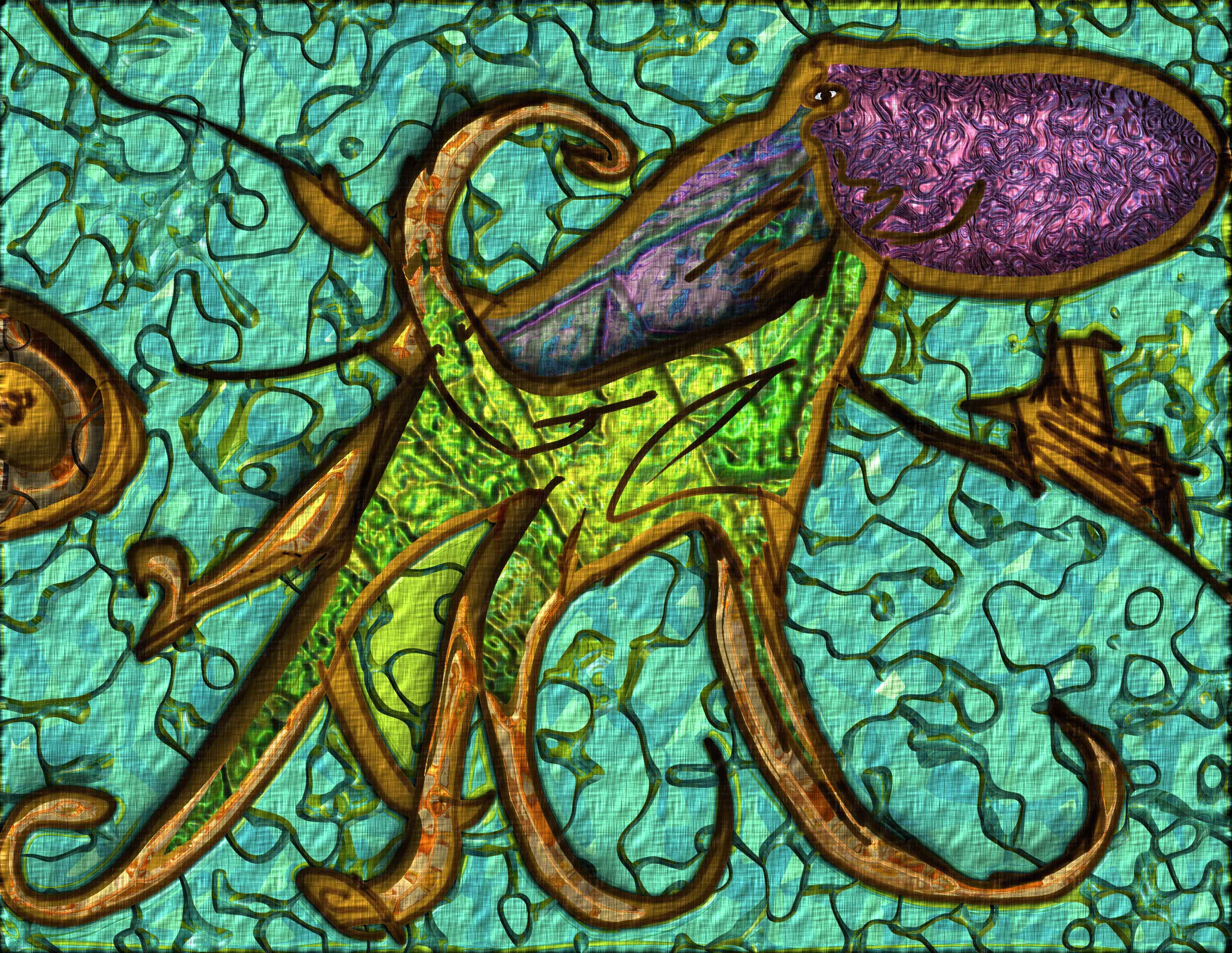 animals-octopus