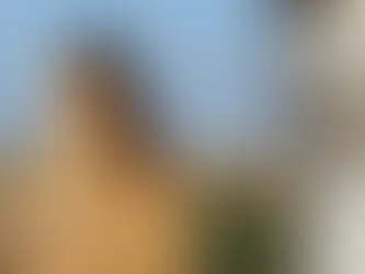 Police force using DNA to find stolen dogs