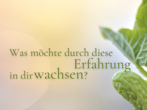 ZWISCHENRAUM 2 | WACHSTUM