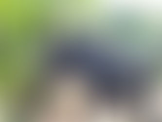 小雪ちゃん♡もなかチャン