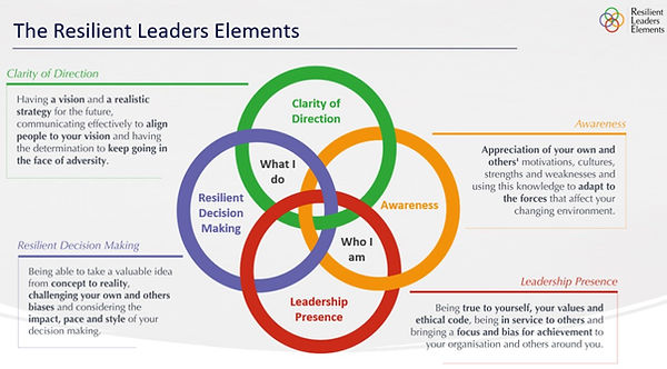 The Resilient Leaders Elements
