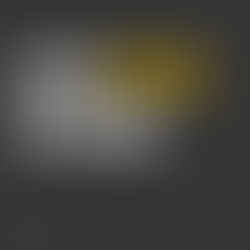 Đi tìm Trí tuệ, Đi tìm BIM